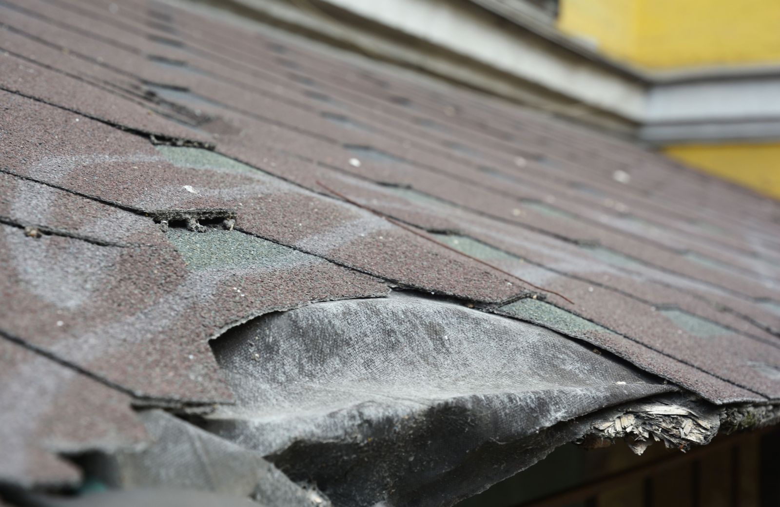 Western Roofing Images